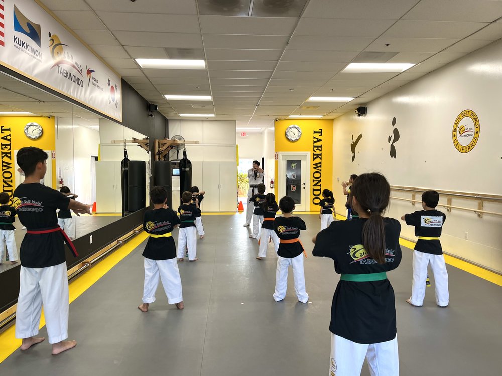 Demo team and advanced students training in the Black Belt World dojang